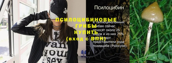 спиды Абинск