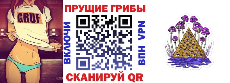 Галлюциногенные грибы Psilocybine cubensis  Азов 